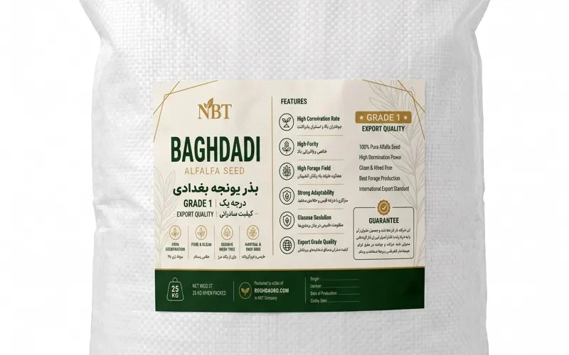 بذر یونجه بغدادی