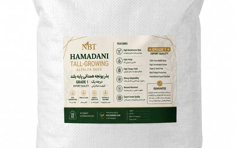 بذر یونجه همدانی پایه بلند