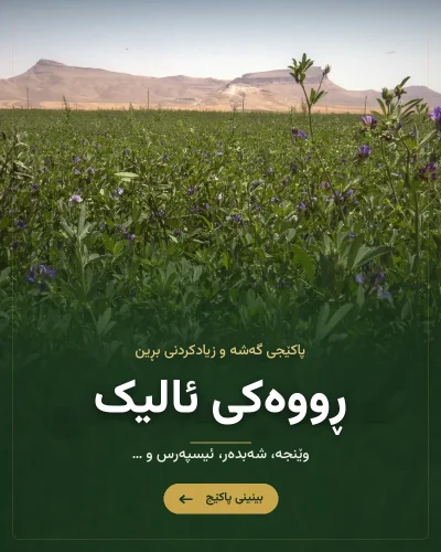 سەماد بۆ وێنجە – زیادکردنی بەرهەمی هەر بڕینێک (سماد للجت)