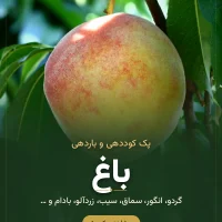 پک تغذیه باغ رشد کود – درختان و درختچه‌های میوه