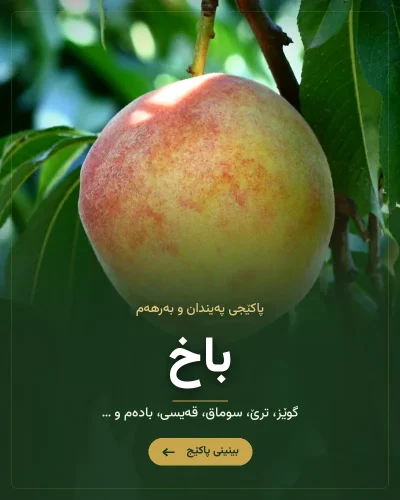 سەماد بۆ باخ و دارە میوە – پاکێجی ترێ، هەنار، سێو و گوێز (سماد للبساتين)
