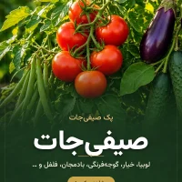 پک صیفی‌جات رشد کود – لوبیا، خیار، گوجه‌فرنگی، بادمجان، فلفل و …
