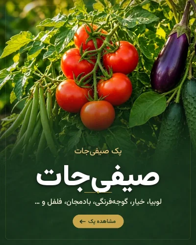 پک صیفی‌جات رشد کود – لوبیا، خیار، گوجه‌فرنگی، بادمجان، فلفل و …