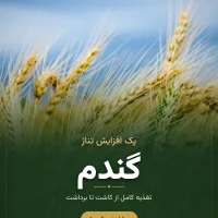 پک تغذیه غلات و حبوبات رشد کود – گندم، جو، نخود و عدس