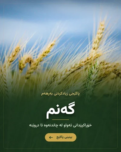 سەماد بۆ گەنم و جۆ و نۆک – پاکێجی دانەوێڵە و پاقلەمەنی (سماد للحنطة)