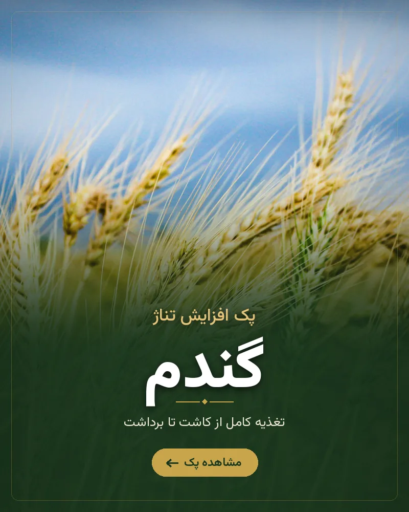 پک تغذیه غلات و حبوبات رشد کود – گندم، جو، نخود و عدس