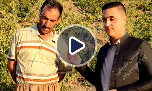 ویدیوی رضایت باغدار انگور از محصولات رشد کود