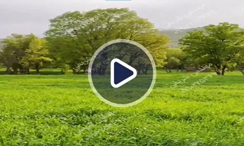 ویدیوی نتایج کود رشد کود در زمین زراعی
