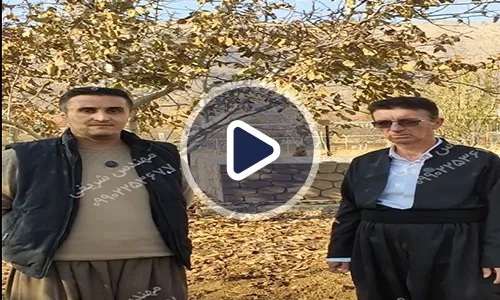 ویدیوی رضایت باغدار گردو با وجود سرمای شدید