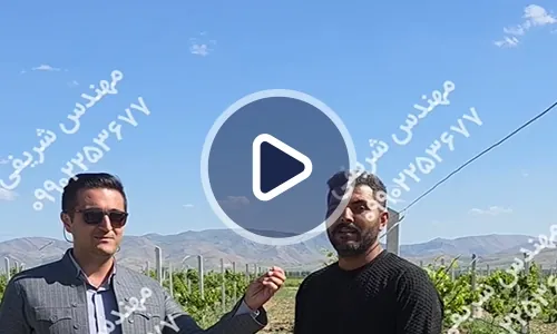 ویدیوی جان گرفتن باغ انگور با محصولات رشد کود