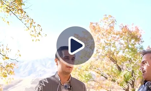ویدیوی تجربه موفق مزرعه گندم با کود رشد کود